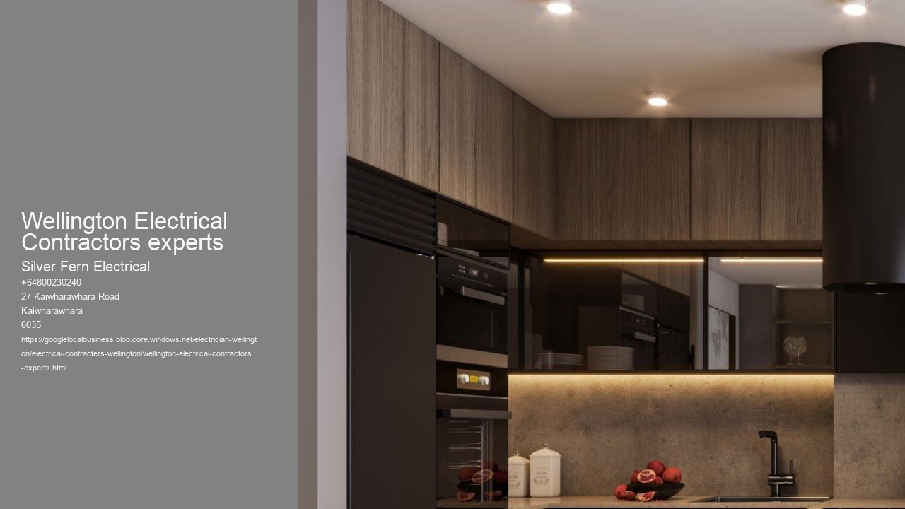 Wellington Electrical Contractors experts